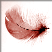 Hinweis auf unsere Liebe zum Detail